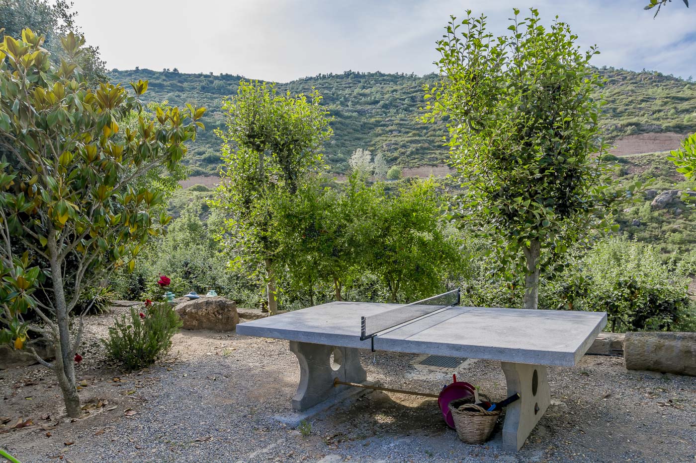 Mesa de ping-pong incorporado